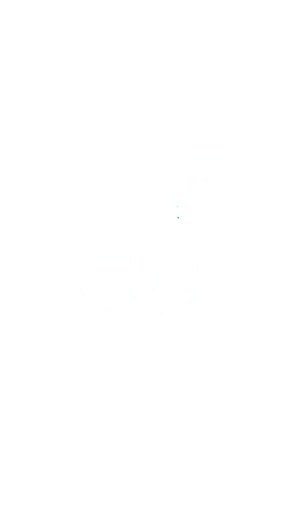 J1 Visions